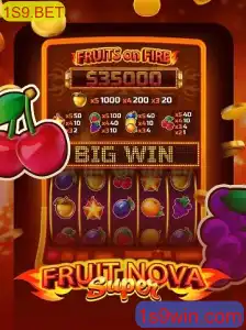 Explorando o Mundo do Jogo FruitNovaSuper: Diversão e Estratégia no 1S9.BET